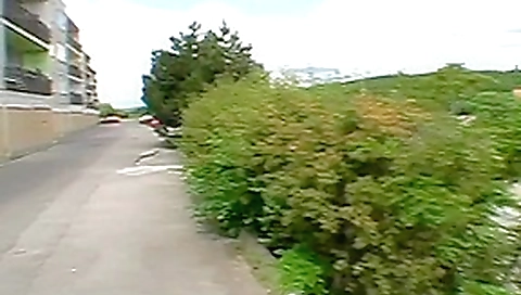 Wild blowjob outdoors