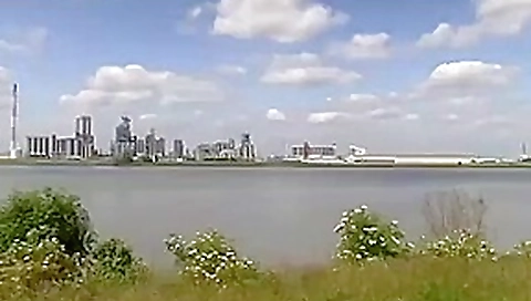 Lekker neuken in de bossen Lekker neuken in de bossen