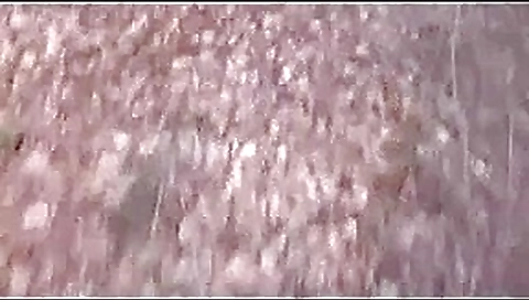 couple caught in the woods