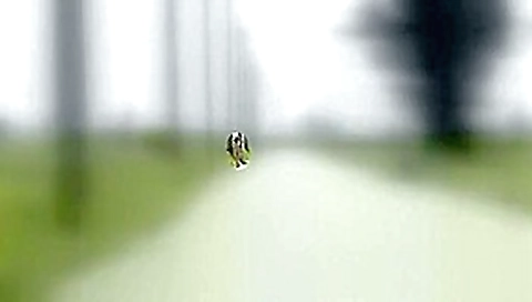 Horny Japanese slut Chihiro Akino in Best , Handjobs JAV clip