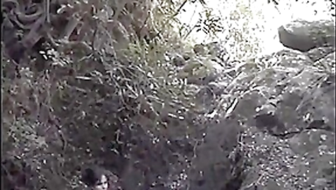 974 couple sur l ile de la reunion 2 974 couple sur l ile de la reunion 2