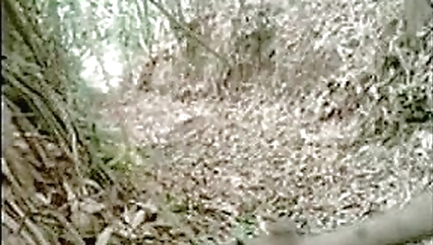 Hidden Cam Porn Videos HD Online Hidden Cam Porn Videos