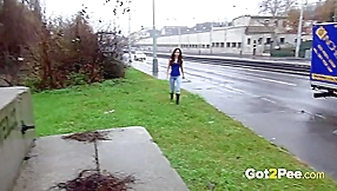 Got2### Public ### Compilation 002