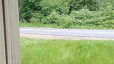 NY State Public Park Booth Handjob and Fuck CFNM NY State Public Park Booth Handjob and Fuck CFNM