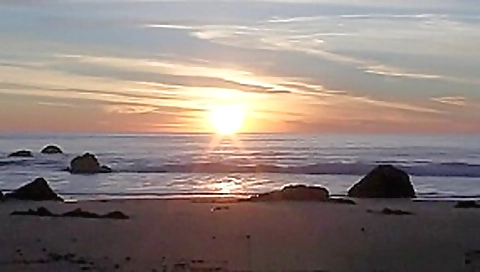 Rafians Beach Safaris 12