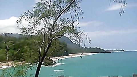 Rafians Beach Safaris 05