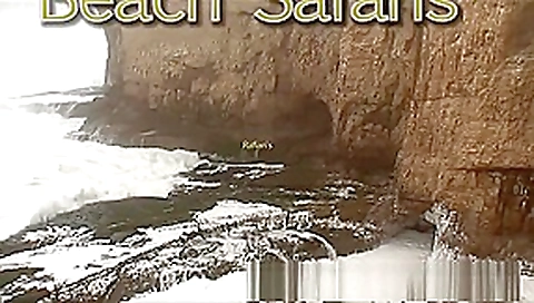 Rafians Beach Safaris 24