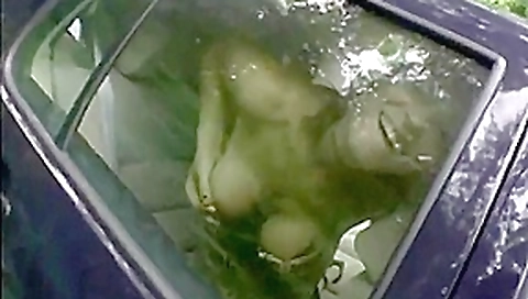 Dogging - Wife Wanda screwed by stranger Dogging - Wife Wanda screwed by stranger