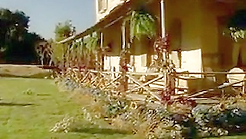 Young Kelly Monaco Young Kelly Monaco