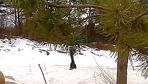 college girl peeing outdors in the snow
