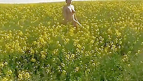 Petula para que disfruten los conductores. Petula para que disfruten los conductores.