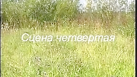 peliroja en el campo