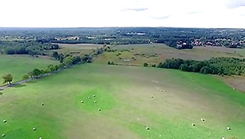 Blowjob after photoshooting