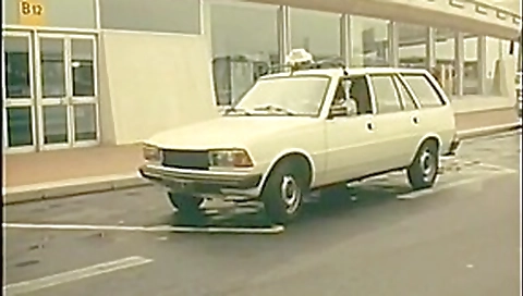 Laura Clair - Graveyard Fucking 1983