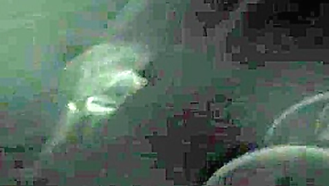 CLIP #35 _ Voyeurismo Public Sex_2