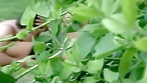 CLIP #71 _ Voyeurismo Public Sex_2