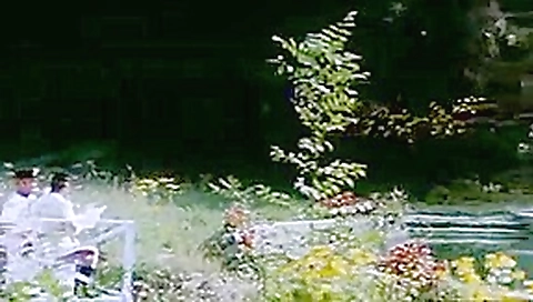 Private Vices Public Pleasures (1976) Private Vices Public Pleasures (1976)