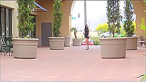 Marley - Canadian Beauty