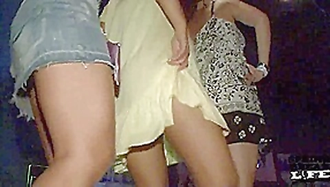 Girls Dancing and Flashing on the Bar in Spring Break Club South Padre - SpringbreakLife Girls Dancing and Flashing on the Bar in Spring Break Club South Padre - SpringbreakLife