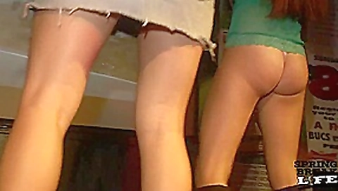 Thong Booty Shake Contest Here in Tampa - SpringbreakLife Thong Booty Shake Contest Here in Tampa - SpringbreakLife