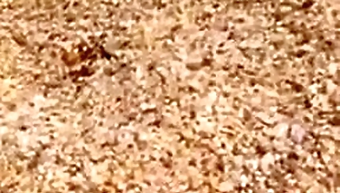 2 chicas espanolas en una playa nudista en vivo 2 chicas espanolas en una playa nudista en vivo