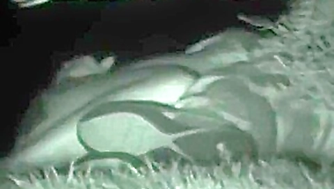 CLIP #282 _ Voyeurismo Public Sex