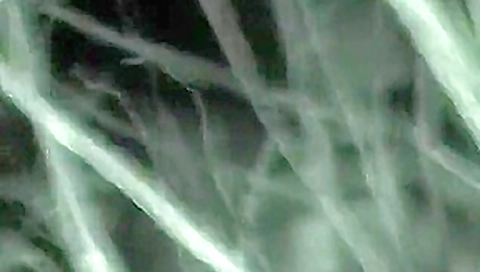 CLIP #283 _ Voyeurismo Public Sex