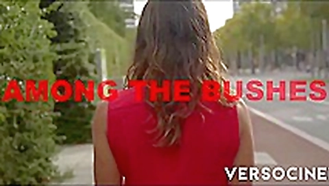 VERSO CINEMA Among The Bushes