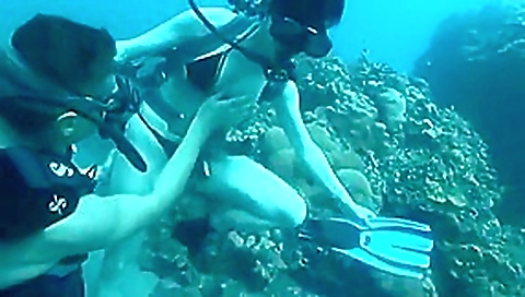 British Porn Videos HD Online British Porn Videos