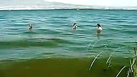 Nude beach - hot blond brunette gangbang - cim facial