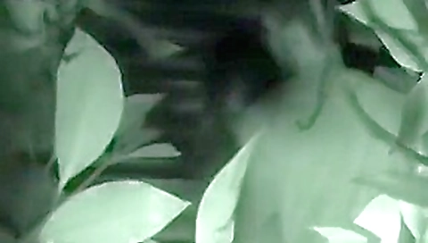 CLIP #204 _ Voyeurismo Public Sex