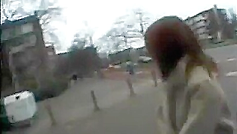 JAPANESE PUBLIC NUDITY - 2