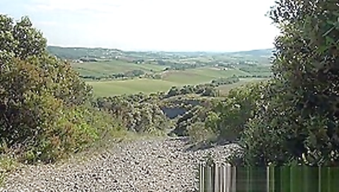 Suzie Q - I like to masturbate and piss like a bitch outdoors !! Suzie Q - I like to masturbate and piss like a bitch outdoors !!