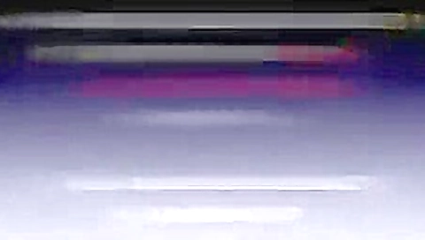 Julia Perez vs Dewi Persik