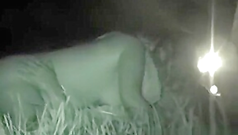 CLIP #162 _ Voyeurismo Public Sex