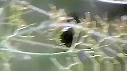 #93 _ Voyeurismo Public Sex