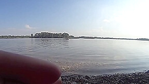 Plusieurs hommes autoure d elle