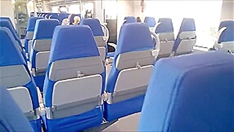 Cutie Sucks my Cock on the Train