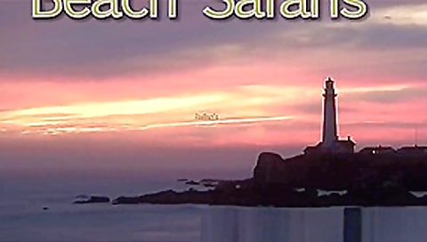 Rafian Beach Safaris 23 HD
