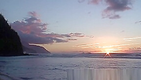 beach safaris sex 11 hd