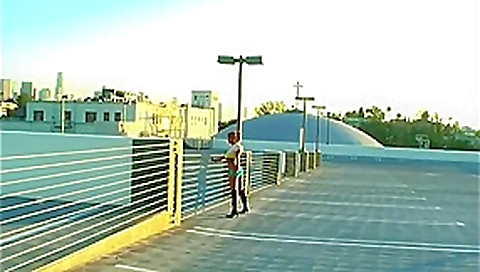 Public Flashing and Masturbation