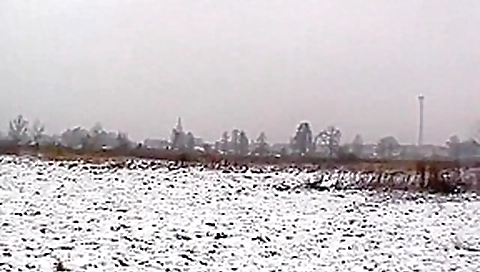 Hairy Pussy Euro Amateur Strips Naked Hairy Pussy Euro Amateur Strips Naked