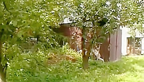 Big Tits Blond Masturbates With Cucumber