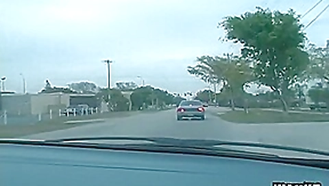 Hailey Young Sucks A Guy's Dick In A Car Hailey Young Sucks A Guy's Dick In A Car