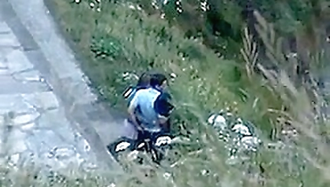 Escondidos en las rocas