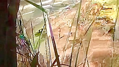 Couple fucking on the beach