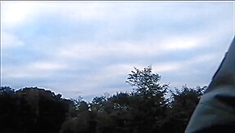 Public nudity flashing from a bridge