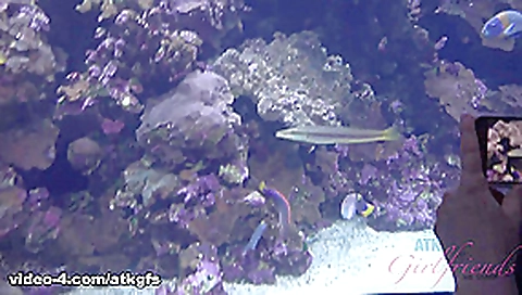 You Take Niki To See Some Sights And She Can't Stop Flashing - ATKGirlfriends You Take Niki To See Some Sights And She Can't Stop Flashing - ATKGirlfriends