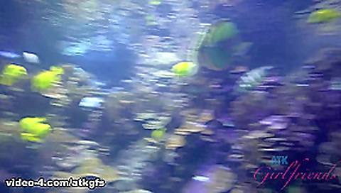Rosalyn Checks Out The Aquarium, And Does Some Snorkeling - ATKGirlfriends