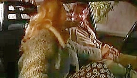 PRIVATE DOGGING ITALIAN PRIVATE DOGGING ITALIAN